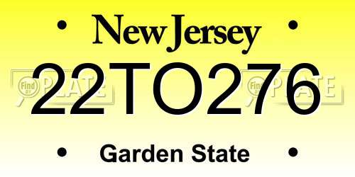 22TO276 New Jersey License Plate