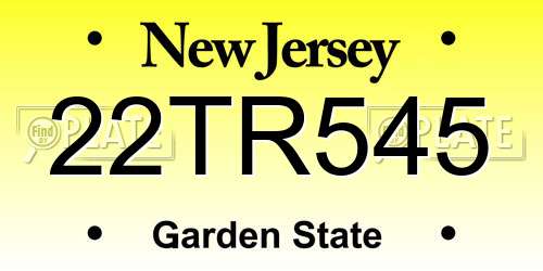 22TR545 New Jersey License Plate