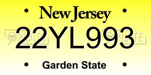 22YL993 New Jersey License Plate