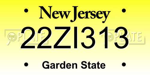 22ZI313 New Jersey License Plate