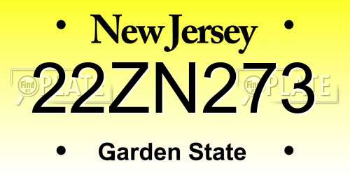 22ZN273 New Jersey License Plate