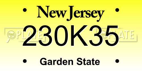 230K35 New Jersey License Plate