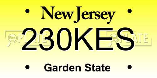 230KES New Jersey License Plate