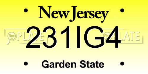 231IG4 New Jersey License Plate