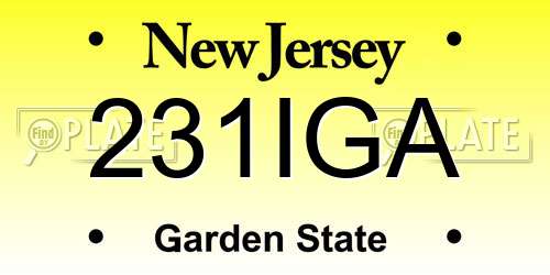 231IGA New Jersey License Plate
