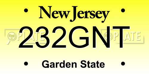 232GNT New Jersey License Plate