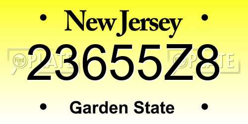 23655Z8 New Jersey License Plate