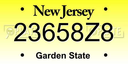 23658Z8 New Jersey License Plate