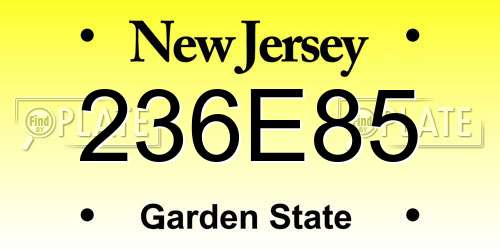 236E85 New Jersey License Plate