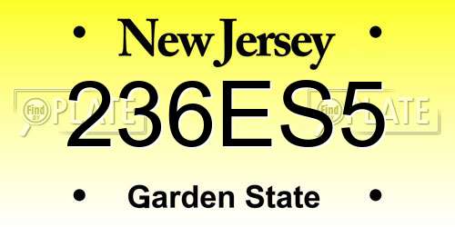 236ES5 New Jersey License Plate