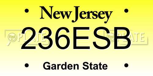 236ESB New Jersey License Plate