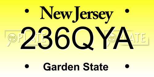 236QYA New Jersey License Plate