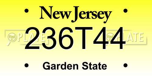 236T44 New Jersey License Plate