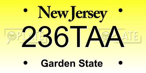 236TAA New Jersey License Plate