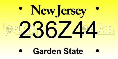 236Z44 New Jersey License Plate