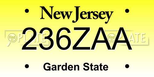 236ZAA New Jersey License Plate