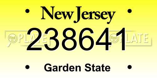 238641 New Jersey License Plate