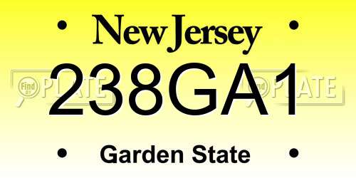 238GA1 New Jersey License Plate