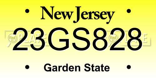 23GS828 New Jersey License Plate
