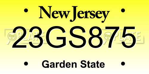 23GS875 New Jersey License Plate
