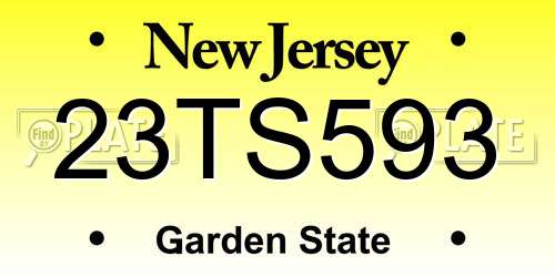 23TS593 New Jersey License Plate