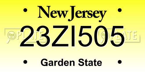 23ZI505 New Jersey License Plate