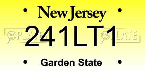 241LT1 New Jersey License Plate