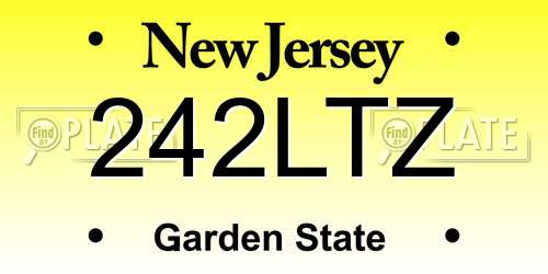 242LTZ New Jersey License Plate