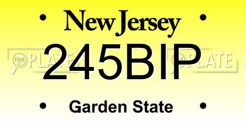 245BIP New Jersey License Plate