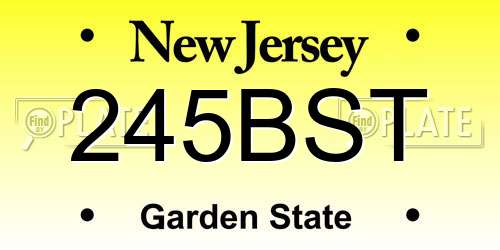 245BST New Jersey License Plate