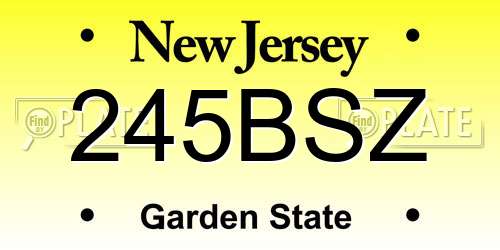 245BSZ New Jersey License Plate