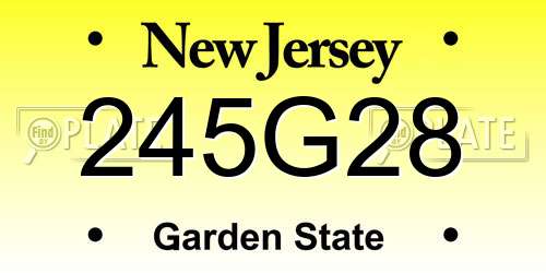 245G28 New Jersey License Plate