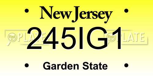 245IG1 New Jersey License Plate