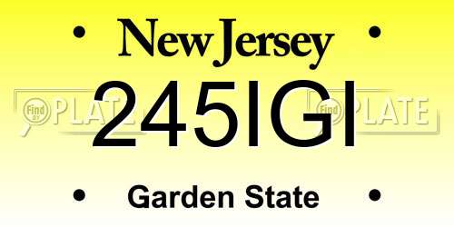 245IGI New Jersey License Plate