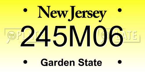 245M06 New Jersey License Plate