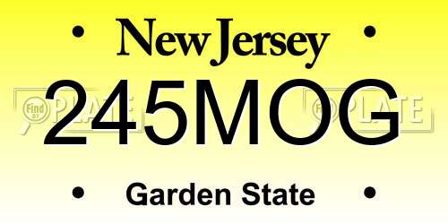 245MOG New Jersey License Plate