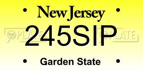 245SIP New Jersey License Plate