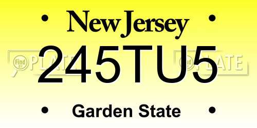 245TU5 New Jersey License Plate