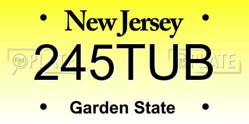 245TUB New Jersey License Plate