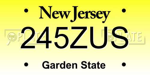 245ZUS New Jersey License Plate