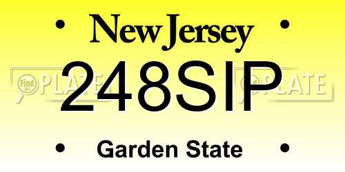 248SIP New Jersey License Plate