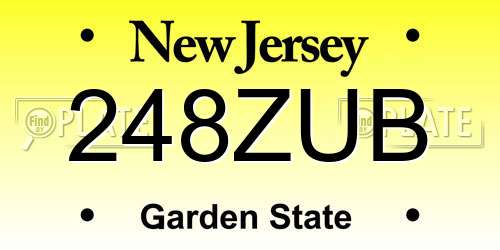 248ZUB New Jersey License Plate