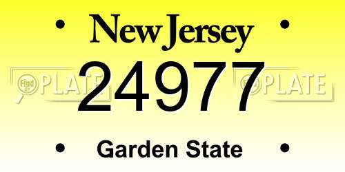 24977 New Jersey License Plate