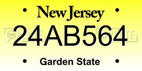 24AB564 New Jersey License Plate