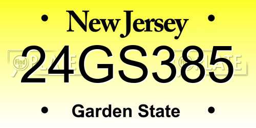 24GS385 New Jersey License Plate