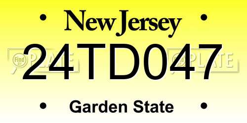 24TD047 New Jersey License Plate