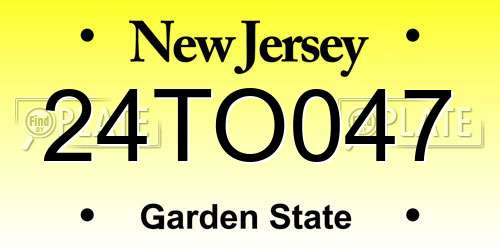 24TO047 New Jersey License Plate