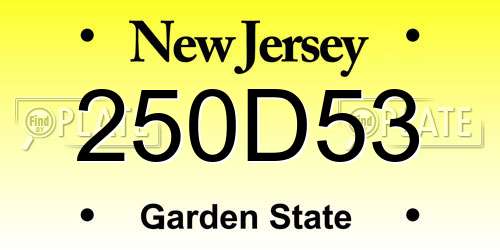 250D53 New Jersey License Plate