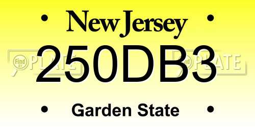 250DB3 New Jersey License Plate