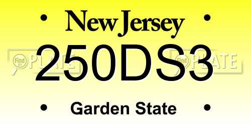 250DS3 New Jersey License Plate